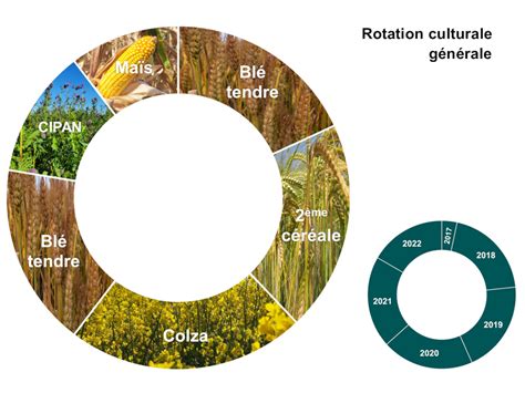 Plan de rotation des cultures sur une exploitation agricole