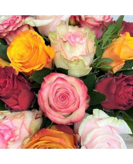 Composition de différentes roses aux couleurs variées dans une bordure