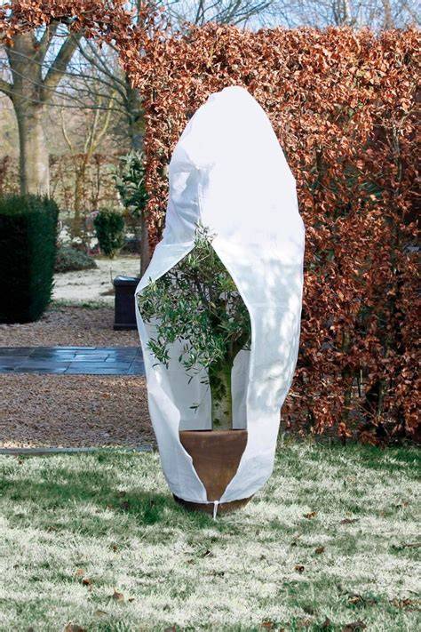 protection hivernale pour plantes en pots avec voile d'hivernage et paillage