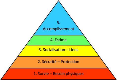 Diagramme des besoins en lumière du Schefflera