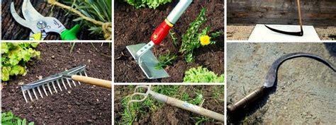 Différents outils de jardinage pour le binage