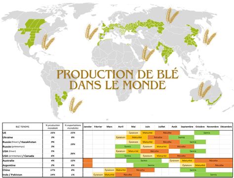 Carte des principaux pays producteurs de blé