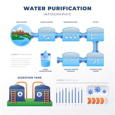 Infographie sur l'utilisation du Binchotan pour la purification de l'eau