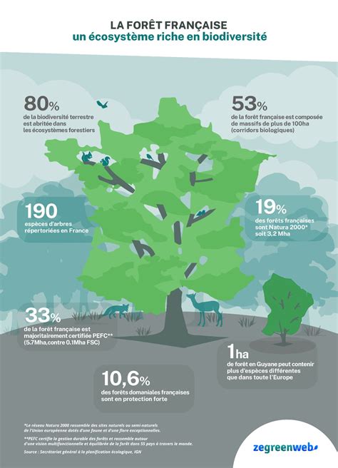 Infographie sur l'importance des bandes fleuries pour la biodiversité