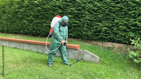 Image d'un jardinier pulvérisant du glyphosate sur des mauvaises herbes