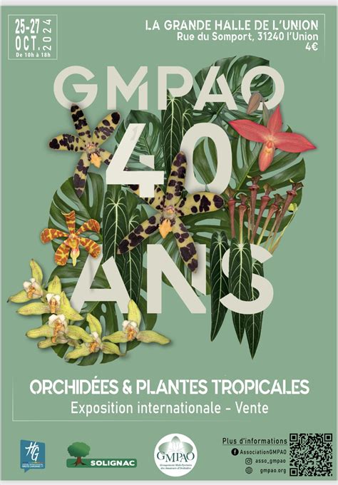 Vue d'ensemble d'une sélection de plantes tropicales prêtes à la vente