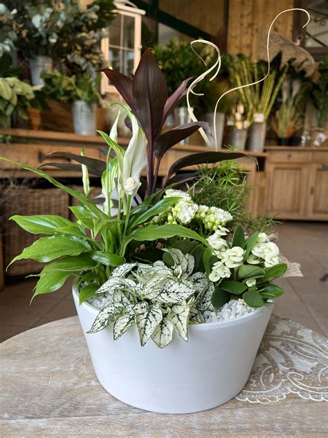 Détail sur une composition de plantes dans des cache-pots design