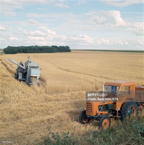 Scène de moisson dans un champ doré