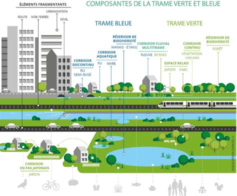 Schéma illustrant les continuités écologiques dans un environnement urbain dense.