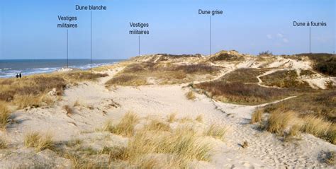 Dunes littorales dans la région des Niayes