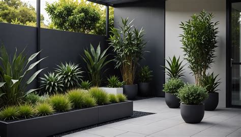 Vue panoramique d'un jardin paysager moderne intégrant des éléments minéraux et végétaux