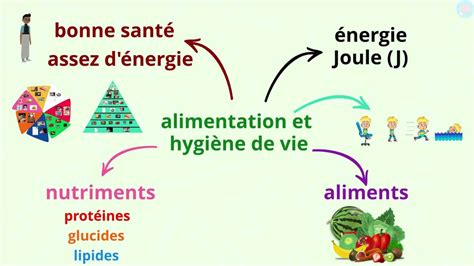 Graphique représentant l'équilibre entre hygiène de vie, alimentation et suppléments