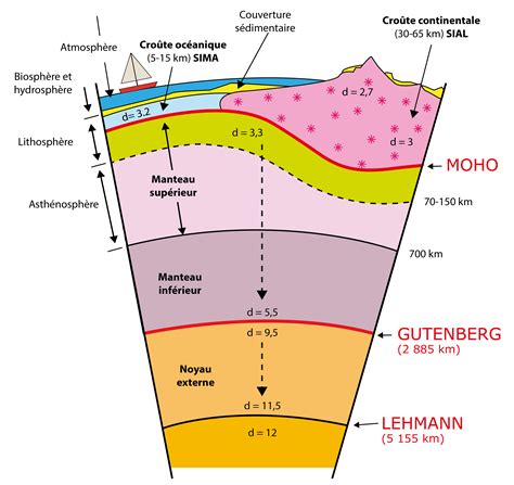 Schéma technique montrant la structure interne d'un eucalyptus artificiel avec son pot lesté et ses tiges armées.