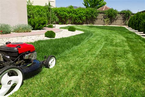 Paysage verdoyant et tonte de pelouse professionnelle dans un jardin privé