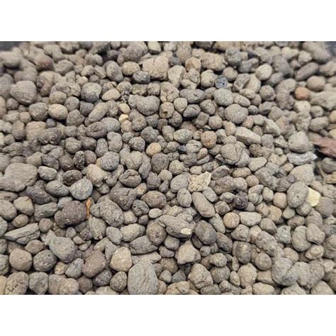 Comparaison entre un substrat compact et un substrat drainant pour bonsaï