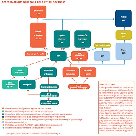Infographie présentant les différents débouchés des formations horticoles