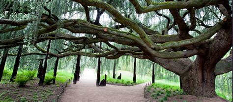 Arboretum de la Vallée-aux-Loups
