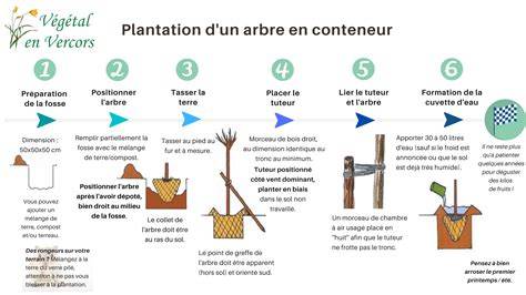 Étapes de plantation des vivaces