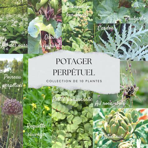 Exemples de légumes perpétuels