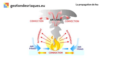 Schéma illustrant la propagation du feu bactérien