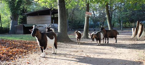 Photo du Parc Animalier Friedel à Illkirch-Graffenstaden