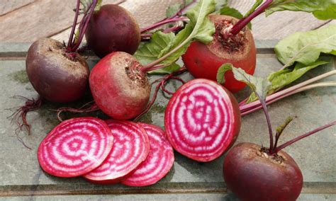Types de betteraves potagères