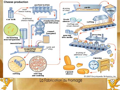 Anciens outils de fabrication du fromage