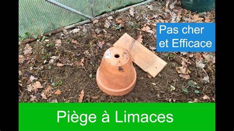 Piège à limaces