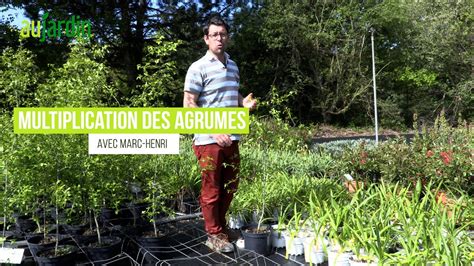 multiplication par semis
