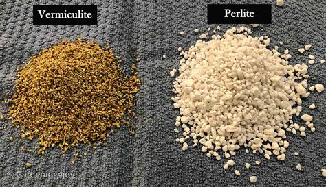 Tableau comparatif perlite et vermiculite