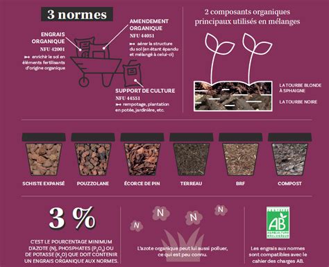 Infographie sur la composition d'un substrat idéal pour bégonias
