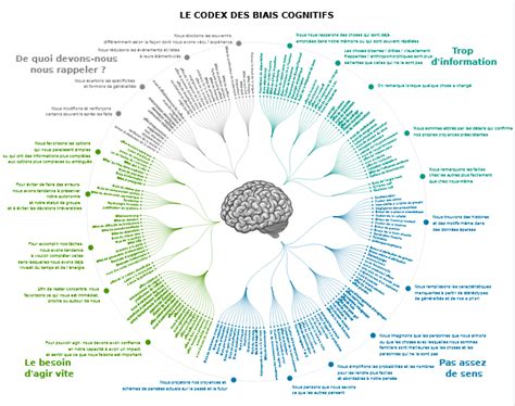 Schéma des bienfaits cognitifs du jardinage