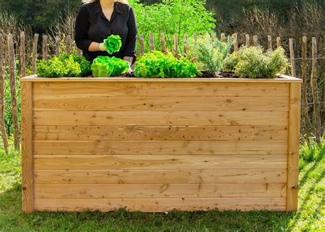 Potager surélevé pour personnes âgées