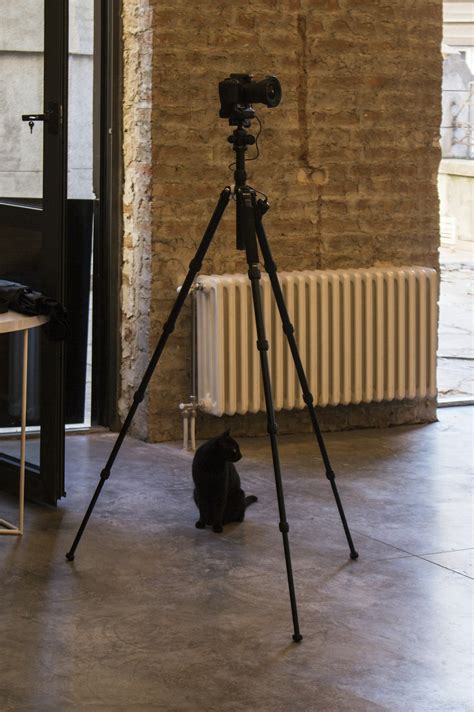 Photographie montrant une installation de trépied avec télécommande sur un Pentax K-5