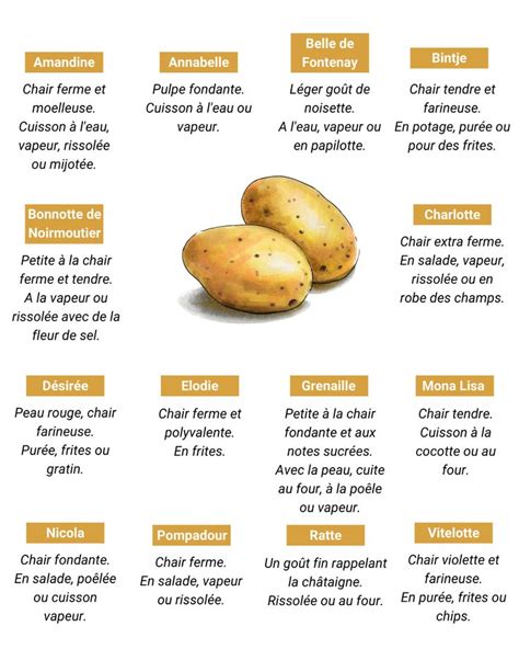 Tableau récapitulatif des types d'épluchures de pomme de terre et leur utilisation