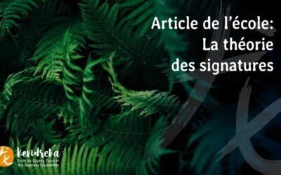 Schéma illustrant la théorie des signatures appliquée aux plantes