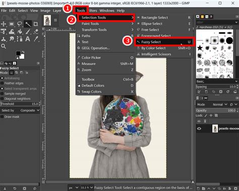 Outils de sélection GIMP en action