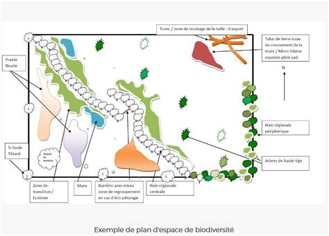 Plan d'un jardin avec des aménagements pour la biodiversité (tas de bois, mare, hôtel à insectes)