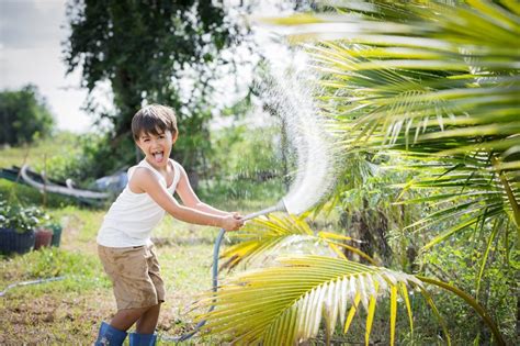 Infographie comparant les besoins en eau, sol et climat du palmier vs pommier