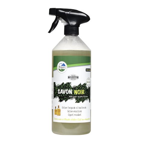 Bouteille de savon noir liquide et une plante verte