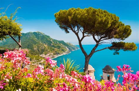 jardin méditerranéen avec des fleurs bleues en bord de mer