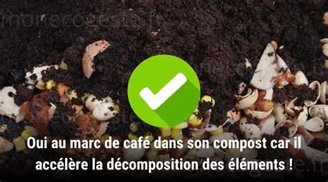 Illustration montrant le cycle de vie du marc de café, du filtre à compost et aux soins maison