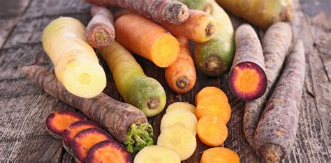 Schéma illustrant les différentes variétés de carottes et leur morphologie