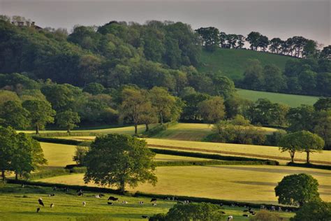 Paysage typique de bocage avec ses parcelles délimitées par des haies vives