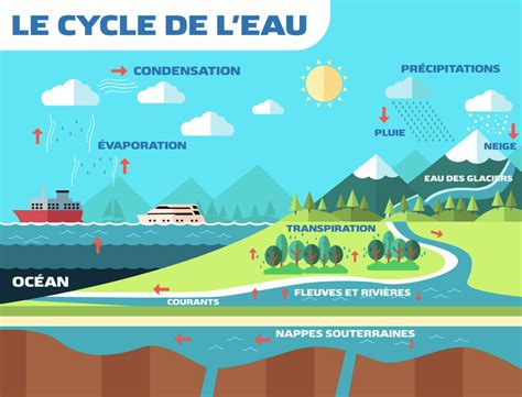 Schéma explicatif du cycle de l'eau et de l'irrigation agricole