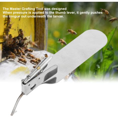 Outil de picking et larves d'abeilles