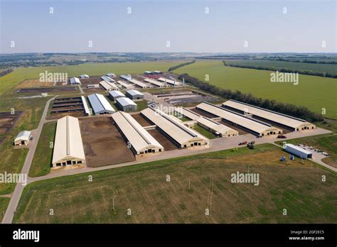 Vue aérienne d'une exploitation laitière moderne