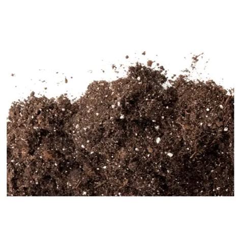 Infographie comparant le terreau à base de tourbe et les alternatives durables (fibre de bois, compost)