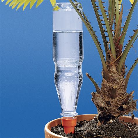 Installation d'un cône d'arrosage sur une bouteille en plastique