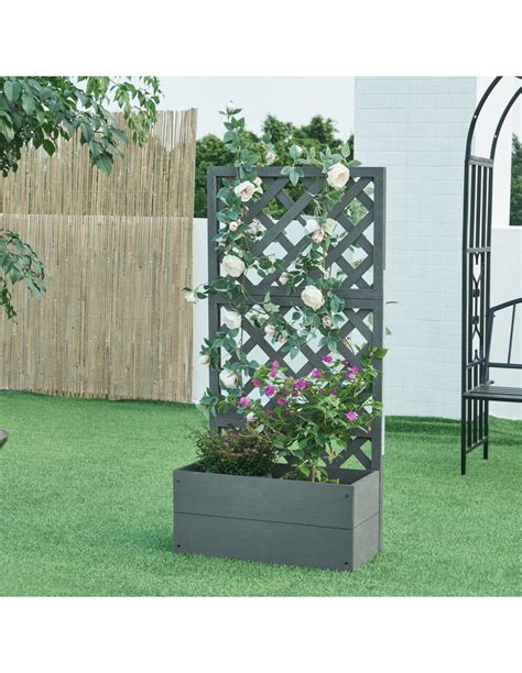 Terrasse ensoleillée avec treillage végétalisé et pots de fleurs